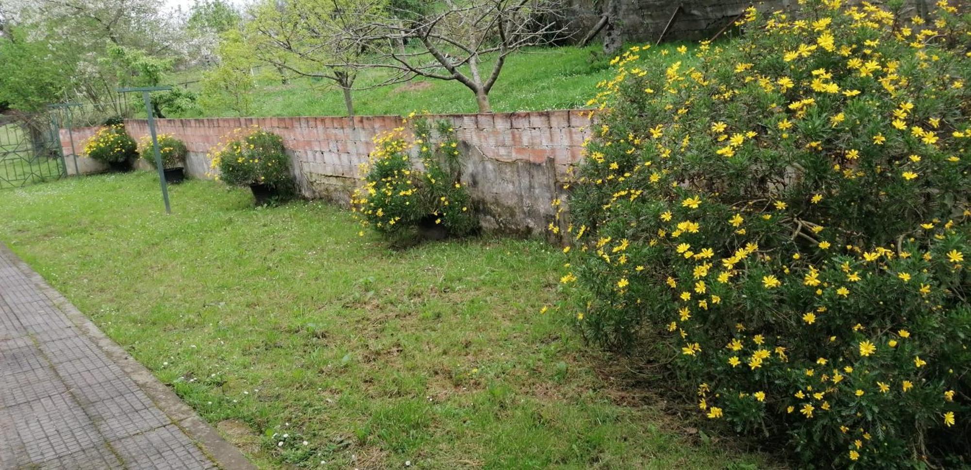 Fondu La Llosa - Casita Cerca De Gijon - Vv-662-As Villaviciosa  Esterno foto